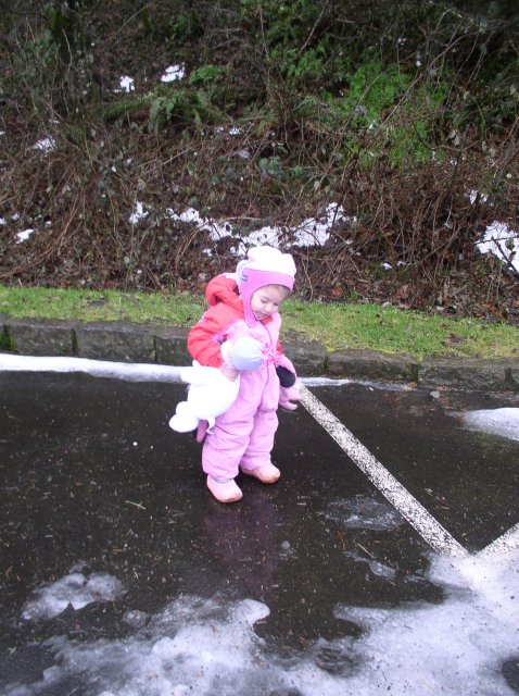 12.23.05 Elowah Falls 051 